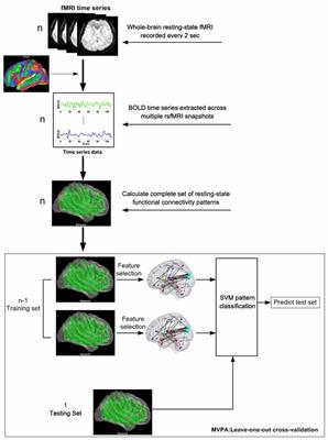 Brief Mental Training Reorganizes Large-Scale Brain Networks